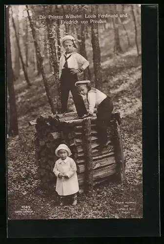 AK Die Prinzen Wilhelm, Louis Ferdinand und Friedrich von Preussen