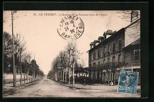 AK Le Vésinet, L`Avenue de la Princesse