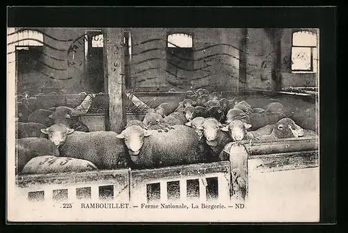 AK Rambouillet, Ferme Nationale, La Bergerie