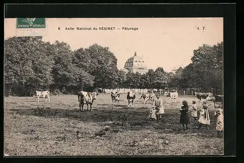 AK Vésinet, Pâturage