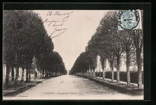 AK Croissy, Avenue des Tilleuls