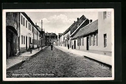 AK Belgern /Elbe, Blick in die Oschatzer Strasse