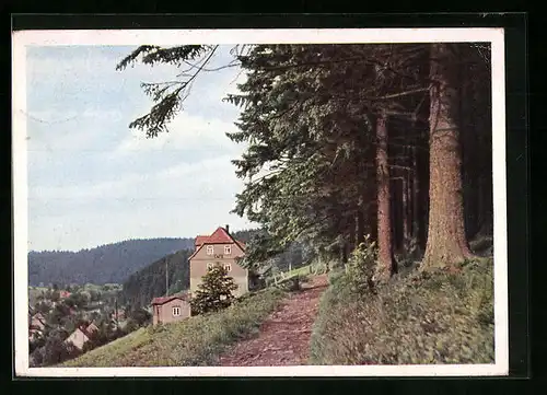 AK Tanne i. Harz, Pension und Café Sanssouci, Besitzer: Hermann Greese