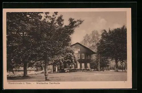 AK Friedrichroda i. Thür., Blick auf das Waldcafe Tanzbuche