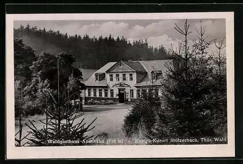 AK Stützerbach i. Thür. Wald, Waldgasthaus Auerhahn