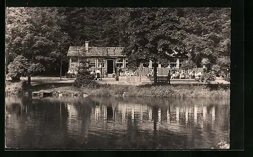 AK Frauenwald /Rstg., Waldcafe Lenkgrund
