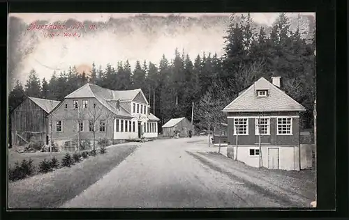 AK Auerhahn /Thür. Wald, Strassenpartie mit Gasthof