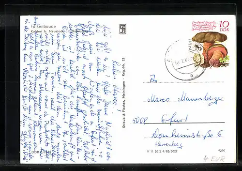 AK Kahlert b. Neustadt am Rennsteig, Falkenbaude mit Ansicht des Speisesaals