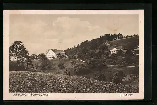 AK Schweigmatt, Blumberg