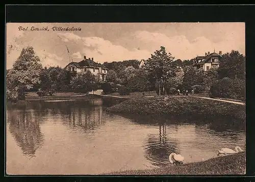 AK Bad Lausick, Villenkolonie hinter Schwanenteich