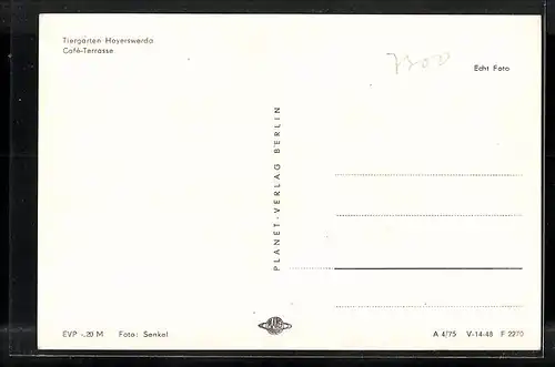 AK Hoyerswerda, Cafe-Terrasse im Tiergarten