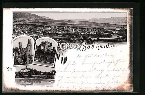 Lithographie Saalfeld, Schlösschen Kitzerstein, Der Hohe Schwarm