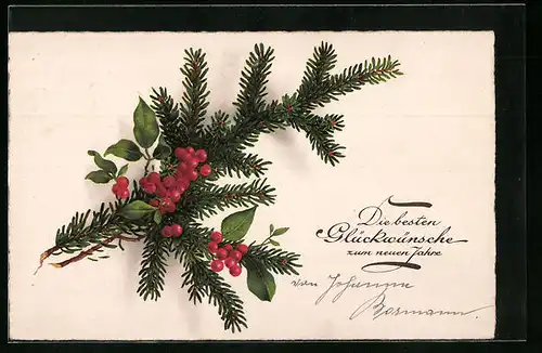 AK Neujahrsgruss mit Tannenzweig