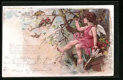 AK Amor spielt Flöte für Vögel