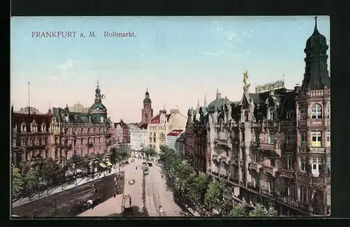 AK Frankfurt a. M., Rossmarkt aus der Vogelschau