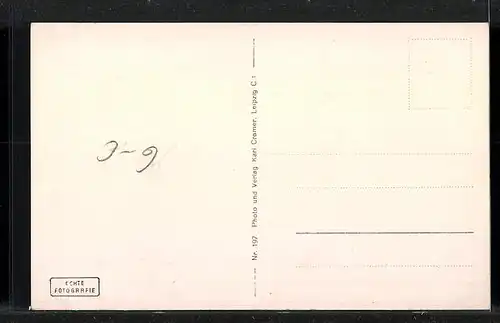 AK Zeitz, Altmarkt mit Rathaus und Kriegerdenkmal