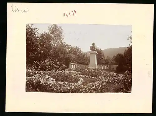 Fotografie Brück & Sohn Meissen, Ansicht Löbau, Park mit Kaiser-Wilhelm-Denkmal