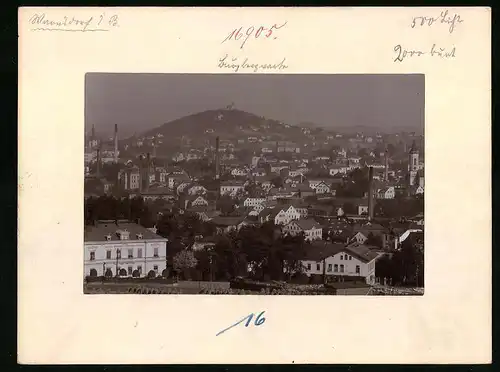 Fotografie Brück & Sohn Meissen, Ansicht Warnsdorf / Böhmen, Panorama der Stadt