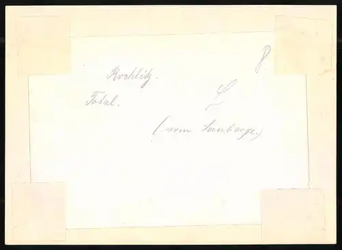 Fotografie Brück & Sohn Meissen, Ansicht Rochlitz, Ortschaft vom Landberge gesehen, Kathedrale