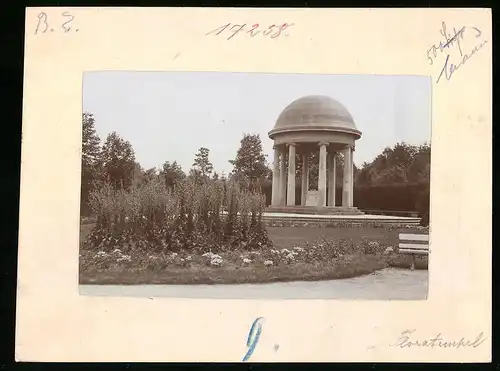 Fotografie Brück & Sohn Meissen, Ansicht Bad Elster, Flora-Tempel, Pavillon