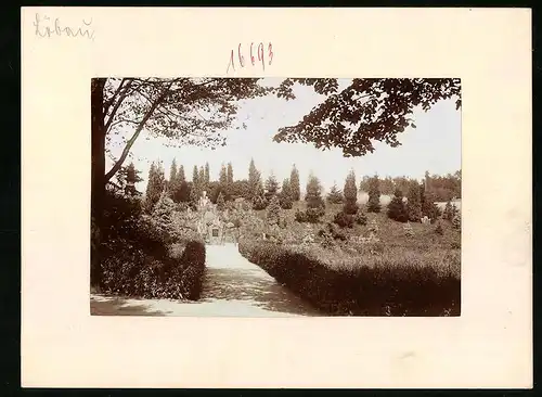 Fotografie Brück & Sohn Meissen, Ansicht Löbau, Weg zum Kriegerdenkmal von 1813