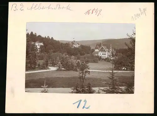 Fotografie Brück & Sohn Meissen, Ansicht Bad Elster, Partie im Albert-Park