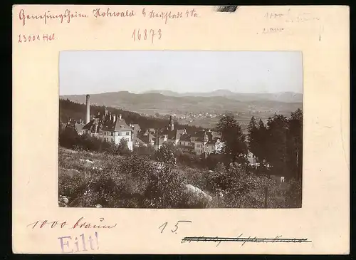 Fotografie Brück & Sohn Meissen, Ansicht Neustadt i. Sa., Genesungsheim Hohwald in Hanglage