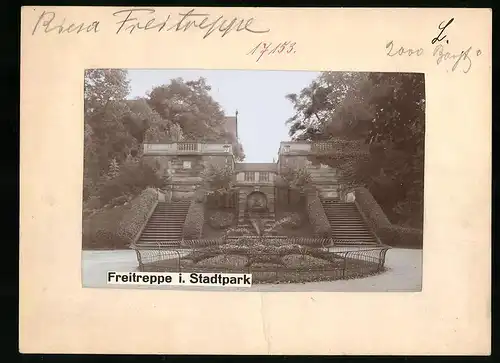 Fotografie Brück & Sohn Meissen, Ansicht Riesa, Freitreppe im Stadtpark