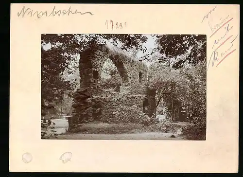 Fotografie Brück & Sohn Meissen, Ansicht Grimma, Ruine des Klosters Nimbschen