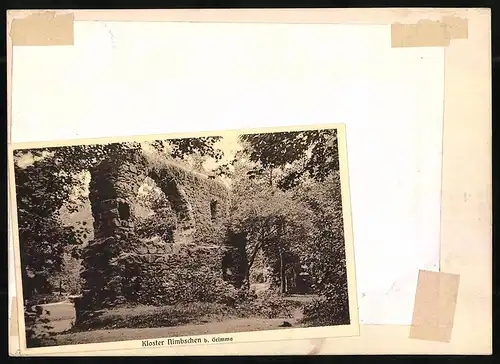 Fotografie Brück & Sohn Meissen, Ansicht Grimma, Ruine des Klosters Nimbschen