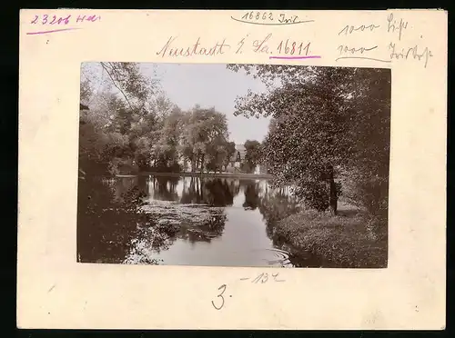 Fotografie Brück & Sohn Meissen, Ansicht Neustadt i. Sa., Teich im Artur-Richter-Park
