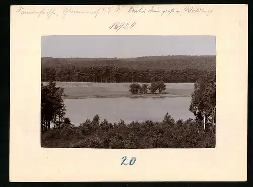 Fotografie Brück & Sohn Meissen, Ansicht Schmannewitz, Waldidylle mit Gewässer