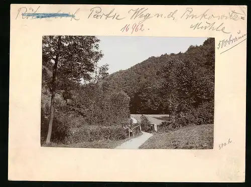 Fotografie Brück & Sohn Meissen, Ansicht Gauernitz a. Elbe, Regenbachtal, Weg nach der Pinkowitz-Mühle