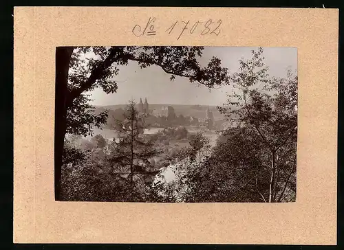 Fotografie Brück & Sohn Meissen, Ansicht Rochlitz, Schloss & Petrikirche von der Junkerbergpromenade gesehen