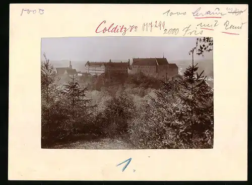 Fotografie Brück & Sohn Meissen, Ansicht Colditz, Schloss vom nahen Wald gesehen