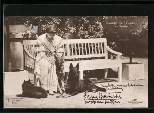 AK Prinzessin Eitel Friedrich mit ihren Hunden