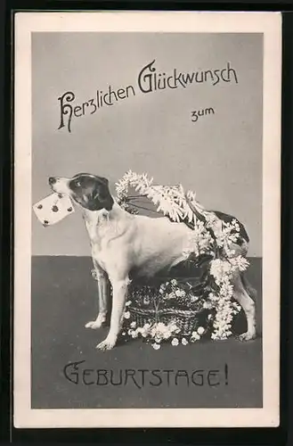 Künstler-AK Hund mit Blumenkorb und Brief in der Schnauze - Geburtstagsgruss