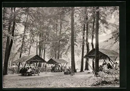 AK Dahlen, Konsum-Waldgaststätte Hospitalhütte mit Besuchern