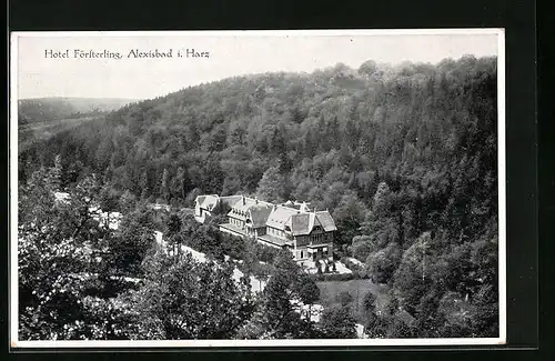 AK Alexisbad /Harz, Hotel Försterling aus der Vogelschau