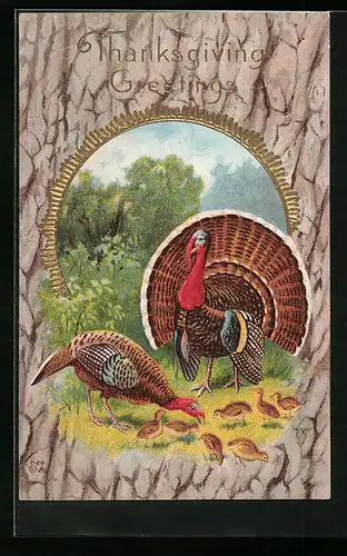 Präge-AK Truthahnpaar mit Küken, Thanksgiving