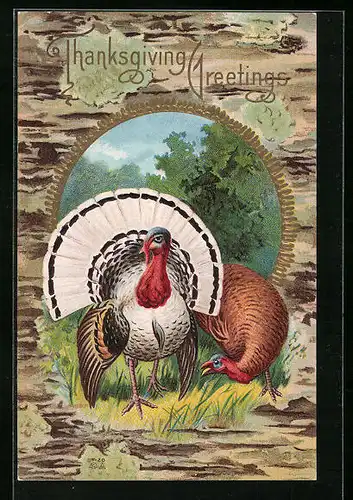 Präge-AK Truthahnpaar am Waldrand, Thanksgiving