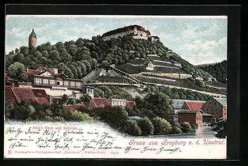AK Freyburg a.U., Blick auf das Jahn's Haus und Schloss