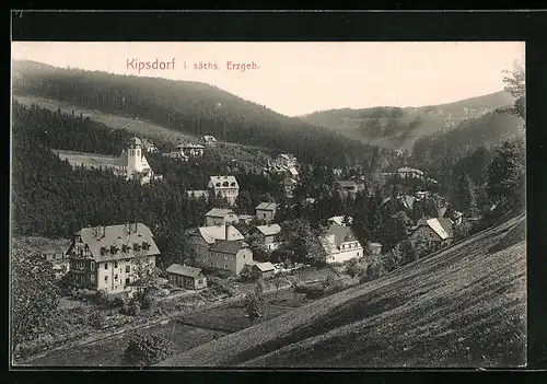 AK Kipsdorf i. sächs. Erzgeb., Teilansicht
