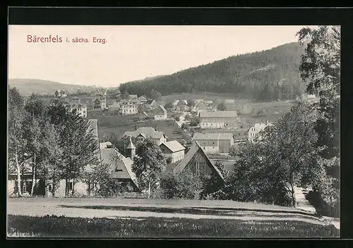 AK Bärenfels i. sächs. Erzg., Teilansicht