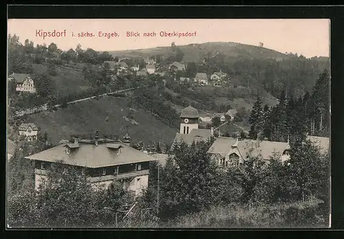 AK Kipsdorf i. sächs. Erzgeb., Blick nach dem Ort