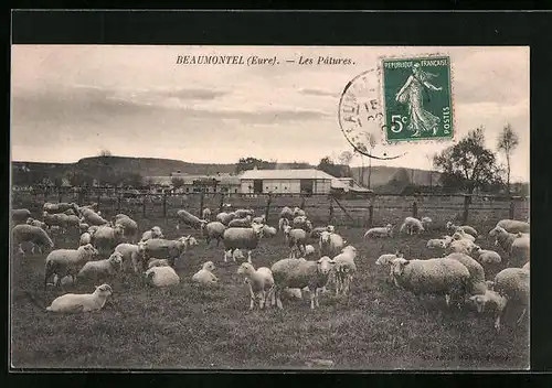 AK Beaumontel, Les Patures