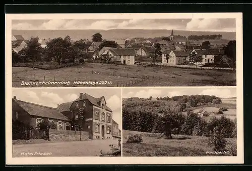 AK Blankenheimerdorf, Hotel Friesen, Waldpartie, Gesamtansicht