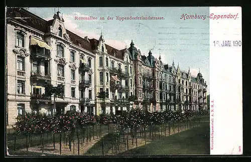 AK Hamburg-Eppendorf, Rosenallee an der Eppendorferlandstrasse