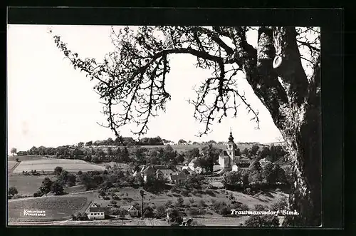 AK Trautmannsdorf, Ortsansicht von einer Anhöhe aus