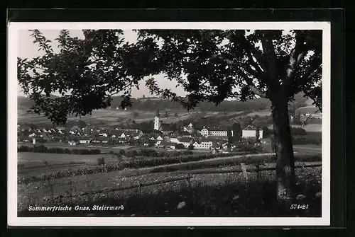 AK Gnas, Ortsansicht aus der Ferne